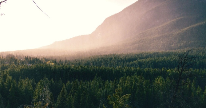 Integrative Chiropractic